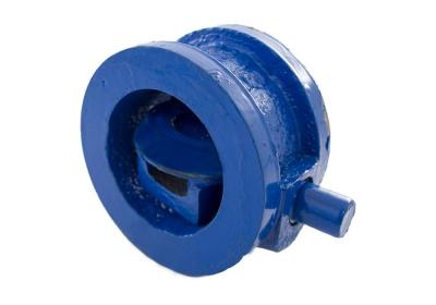 Клапан обратный поворотный межфланцевый 19ч21бр Ду50